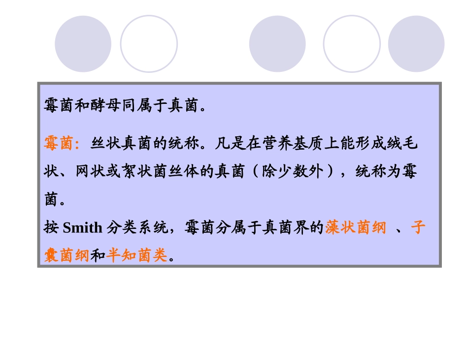 丝状真菌霉菌_第2页