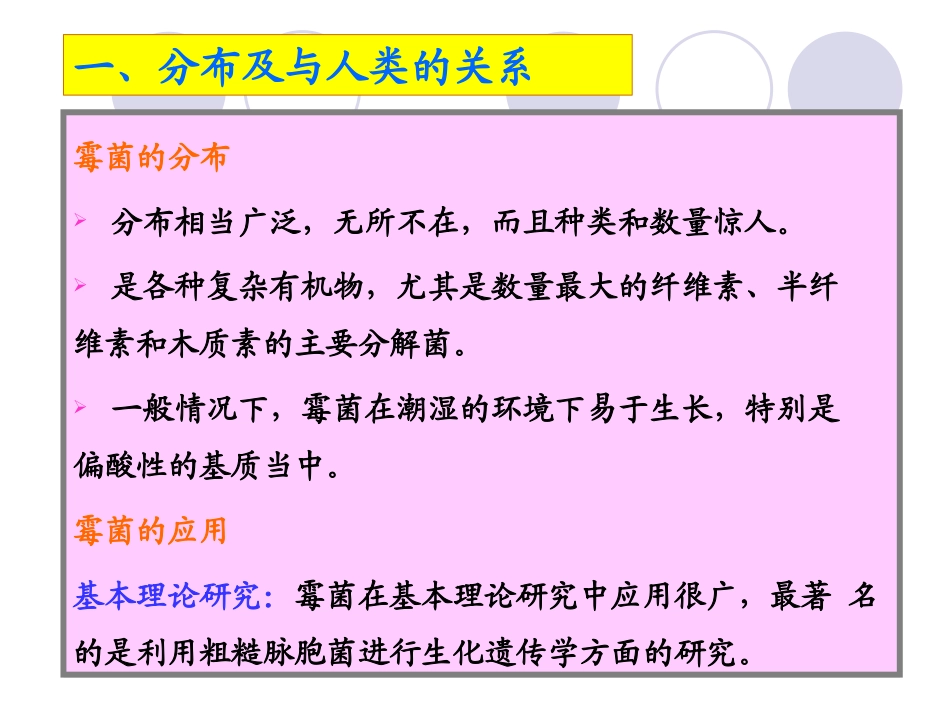 丝状真菌霉菌_第3页