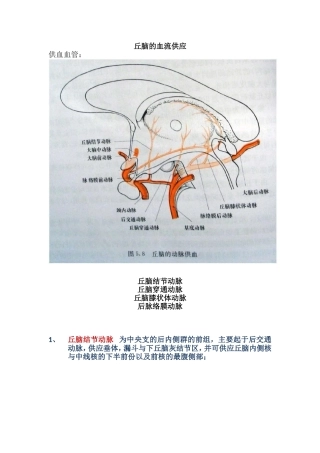 丘脑的血流供应