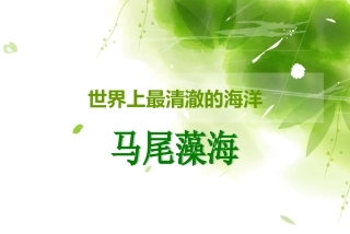 世界上最清澈的海洋
