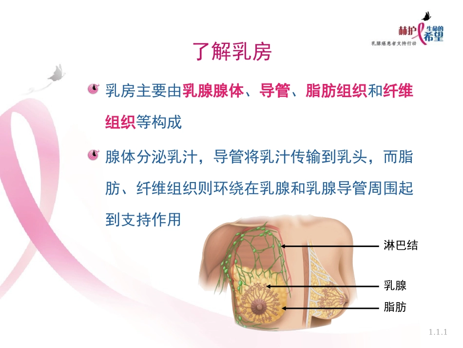 与乳腺癌的斗争开始了_第3页