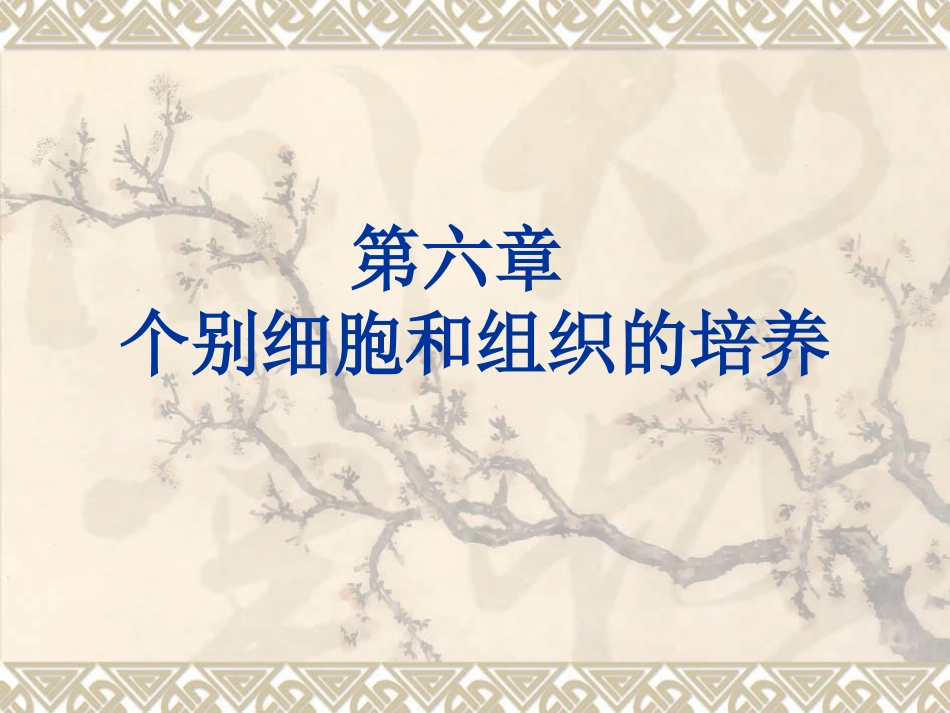 不同类型细胞的培养特点_第1页