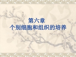 不同类型细胞的培养特点
