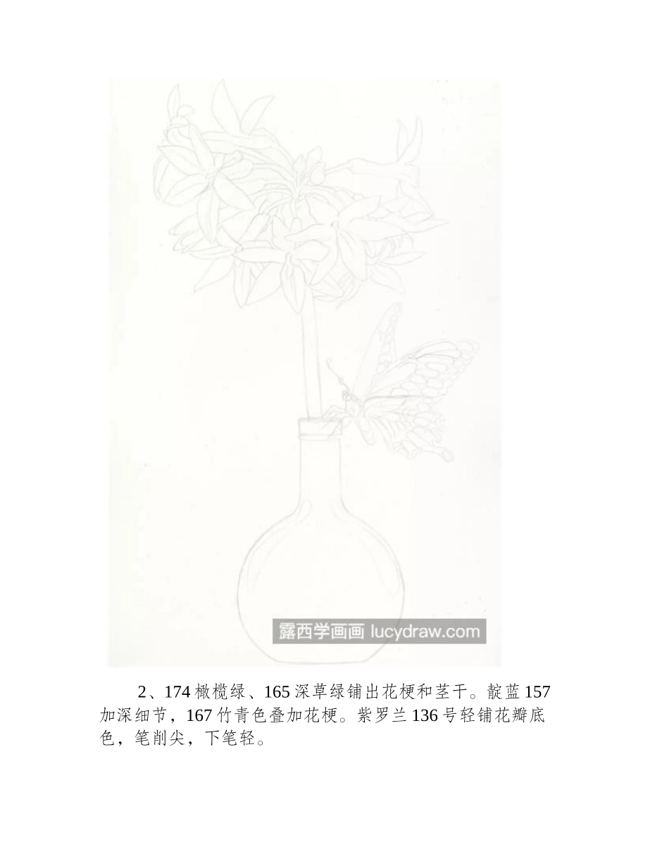 紫娇花怎么画_野蒜的彩铅绘画步骤有哪些_彩铅画教程_第2页