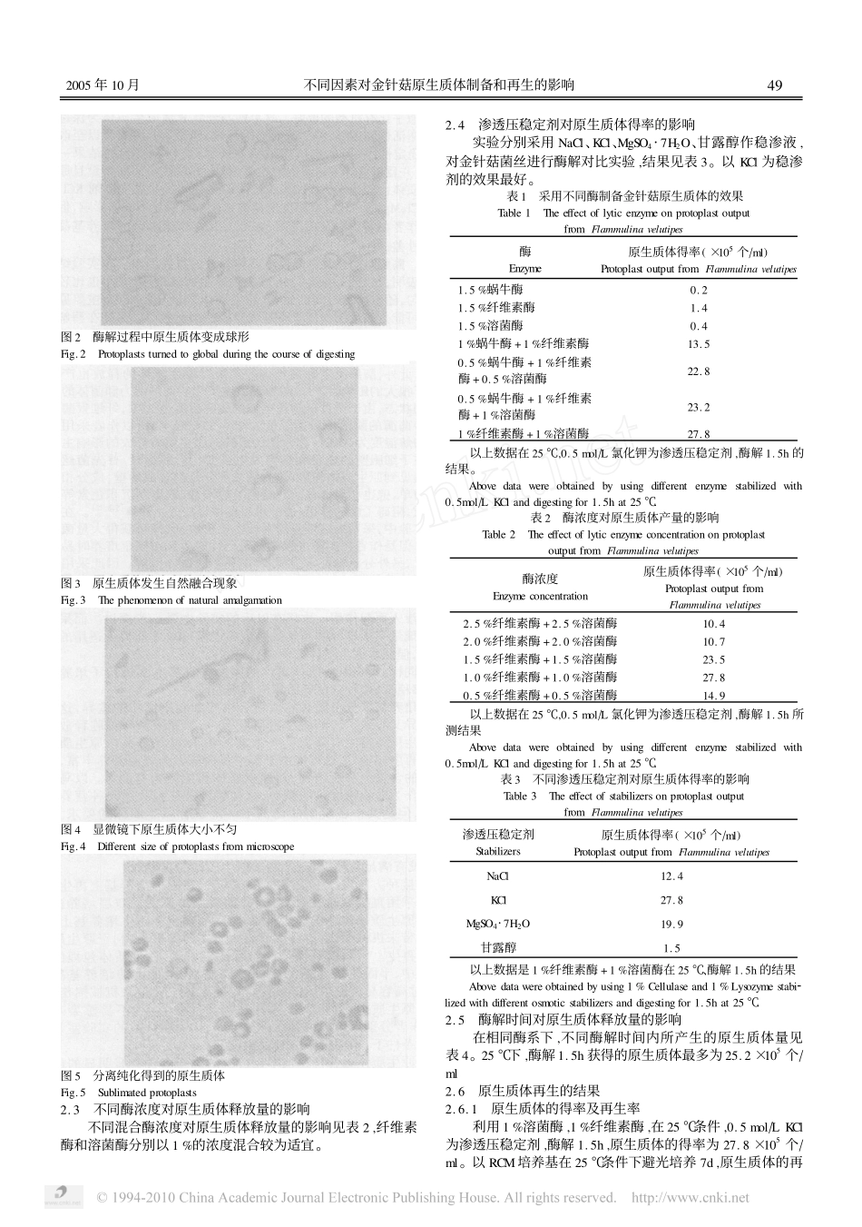 不同因素对金针菇原生质体制备和再生的影响_陈力力_第3页