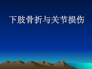 下肢骨折及关节损伤讲诉