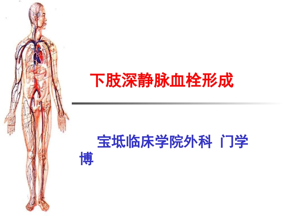 下肢深静脉血栓讲课_第1页