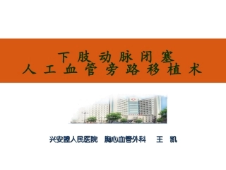 下肢动脉闭塞人工血管旁路移植术-王凯2012.11