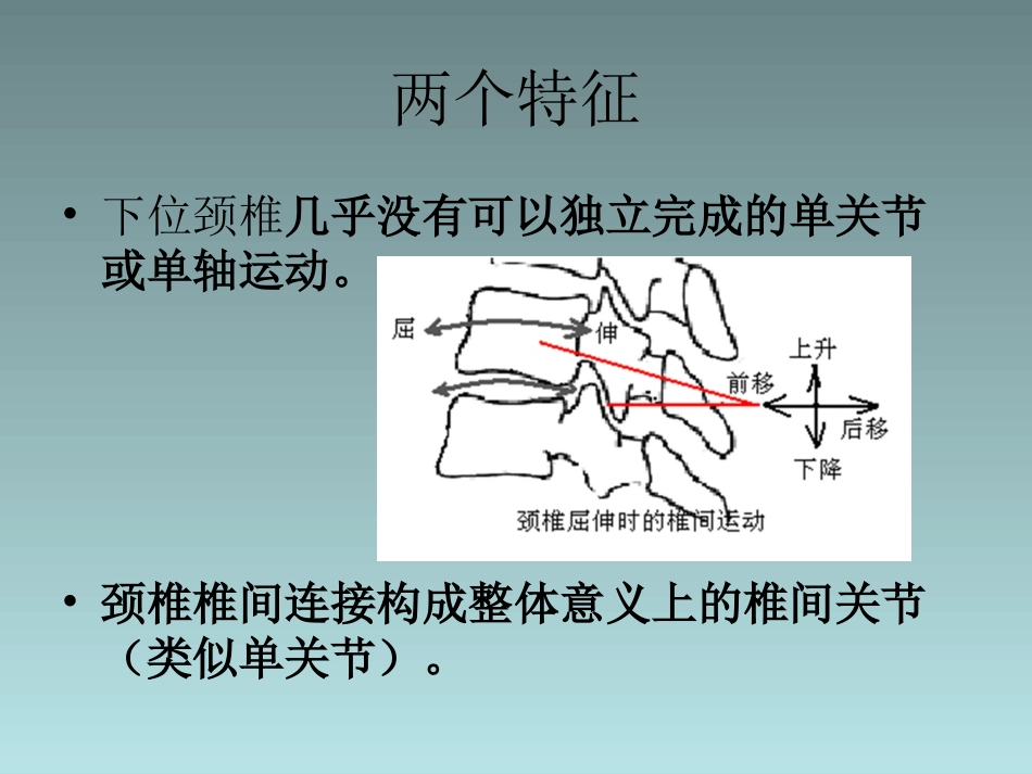 下位颈椎椎间关节材料_第3页