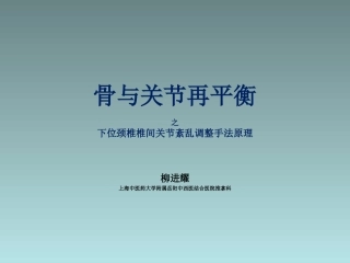 下位颈椎椎间关节材料