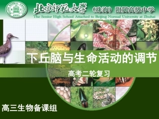 下丘脑与生命活动的调节