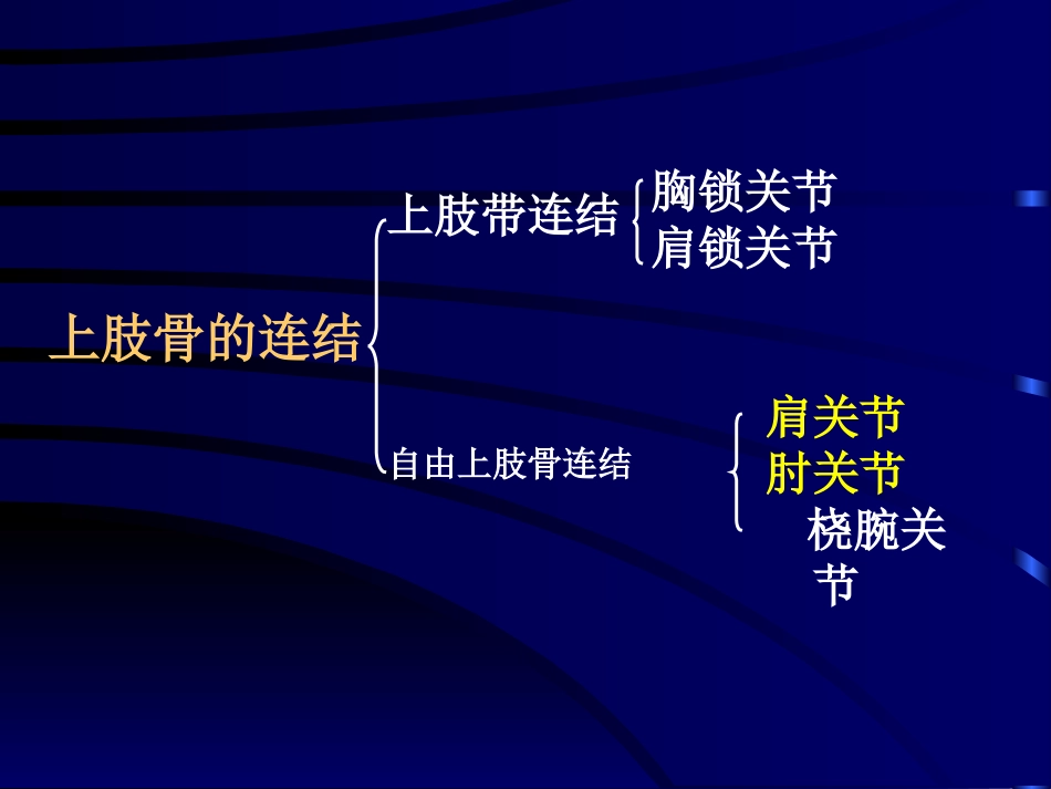上肢骨、下肢骨连结_第3页