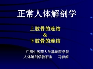 上肢骨、下肢骨连结
