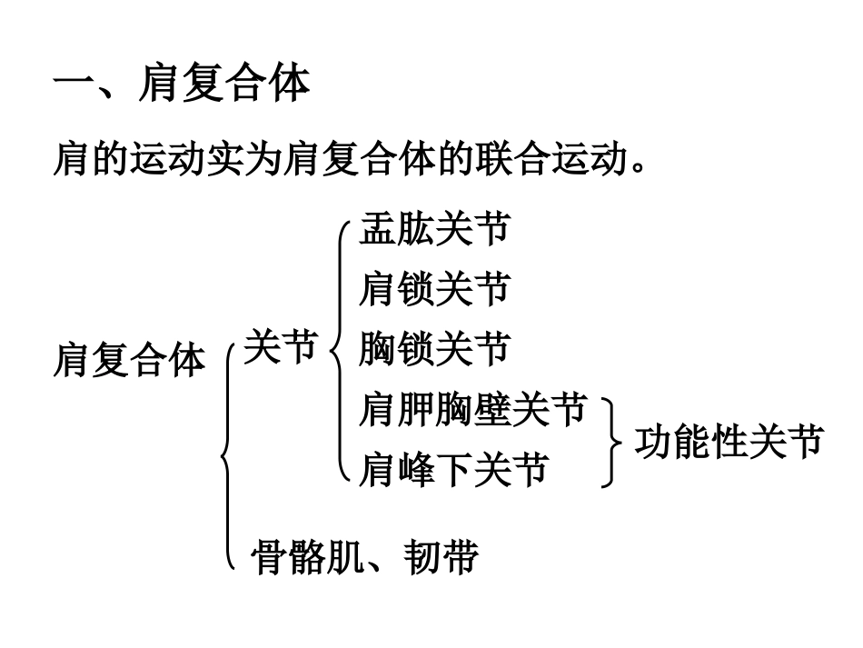 上肢关节运动_第2页