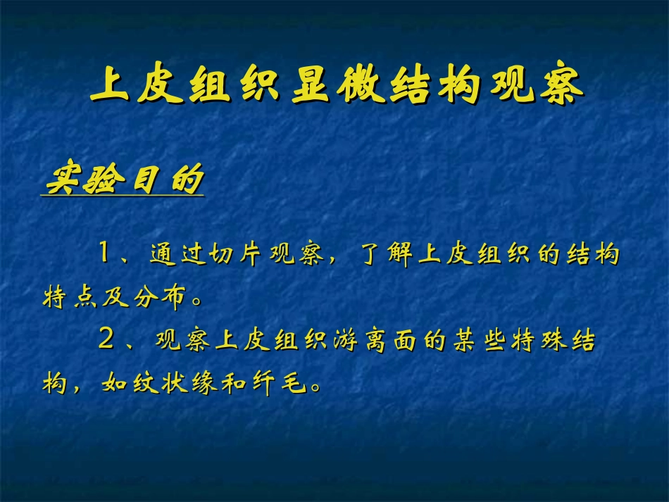 上皮组织显微结构观察_第2页