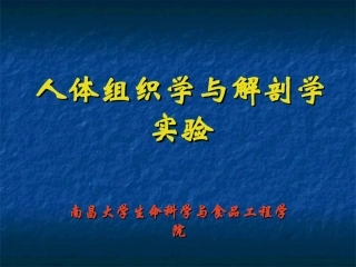 上皮组织显微结构观察