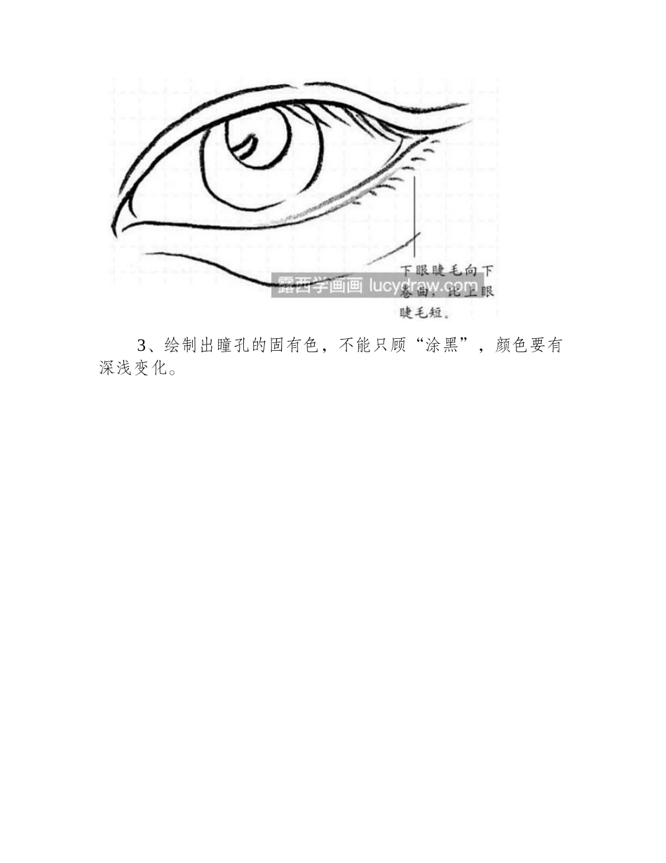 眼睛怎么画_具体有哪些素描绘画步骤_素描教程_第2页