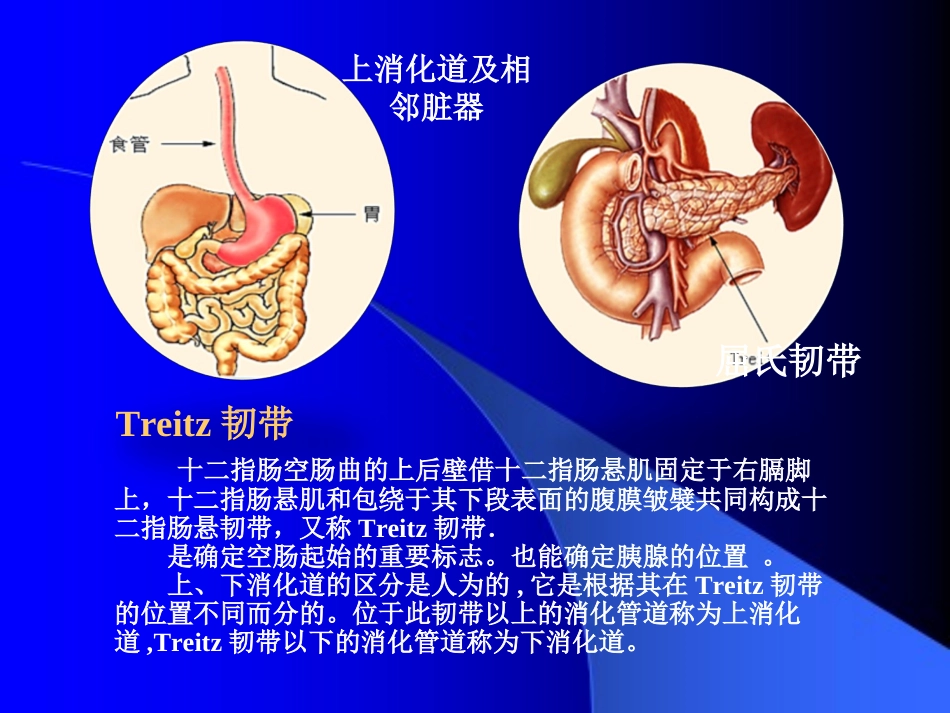 上消化道出血诊治进展000000.ppt-[自动保存的]_第3页
