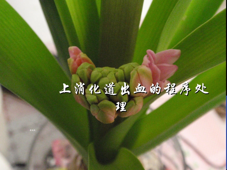 上消化道出血的程序处理讲稿.荣先帜_第1页