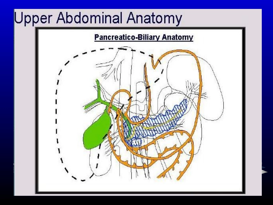 上消化道出血01_第3页