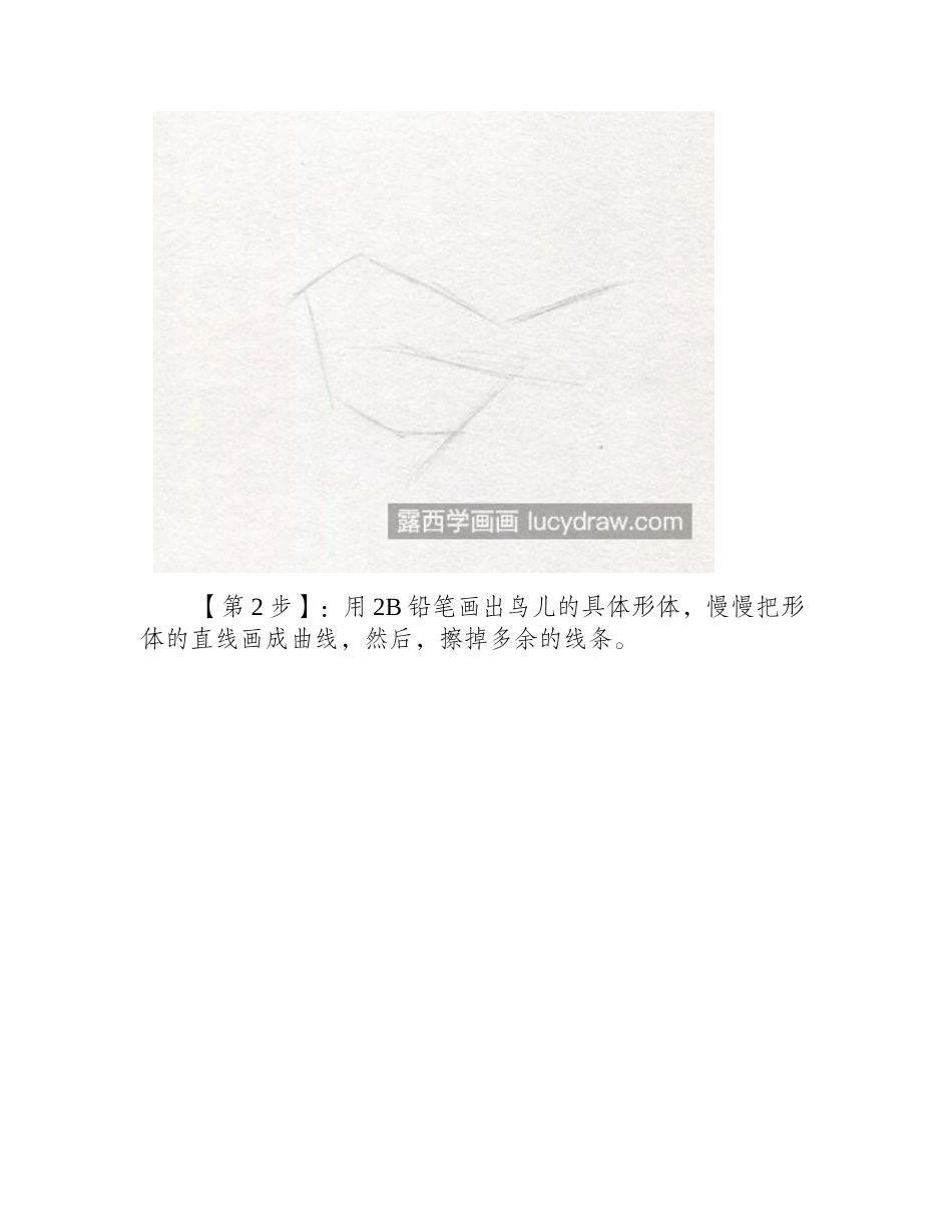 小小小鸟怎么画_呆萌小鸟的素描画法是什么_素描教程1_第2页