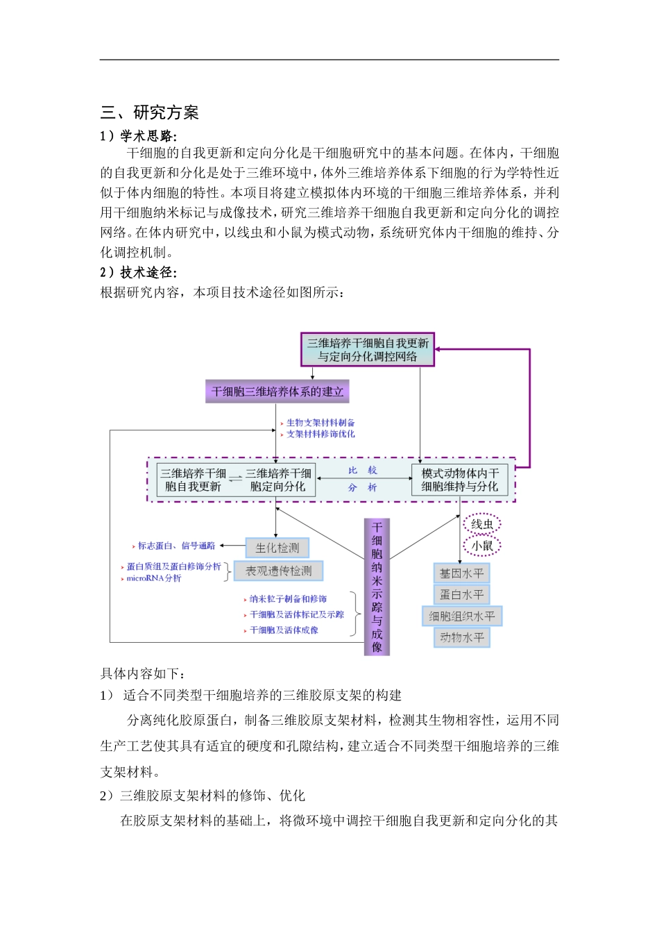 三维培养干细胞自我更新与定向分化的调控网络_第3页