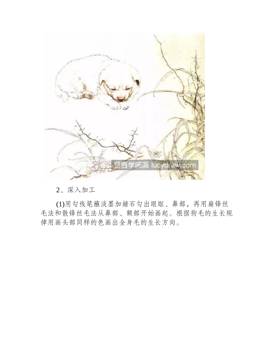 小奶狗怎么画_黄色小狗的工笔画过程是什么_工笔画教程_第2页