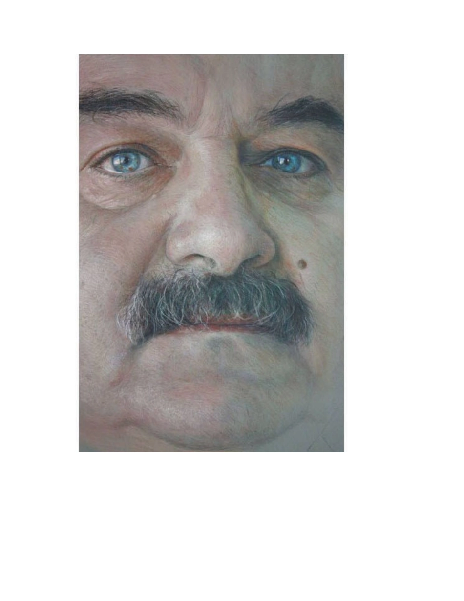 一组超写实色粉画作品欣赏色粉画作品_第2页