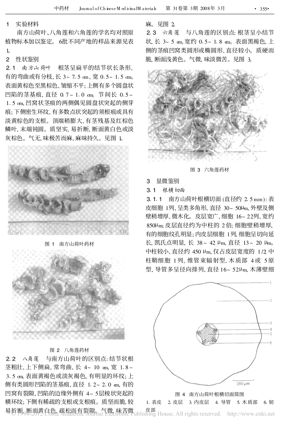 三种江边一碗水的比较鉴别__第2页