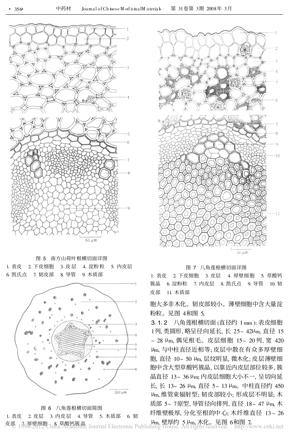 三种江边一碗水的比较鉴别__第3页