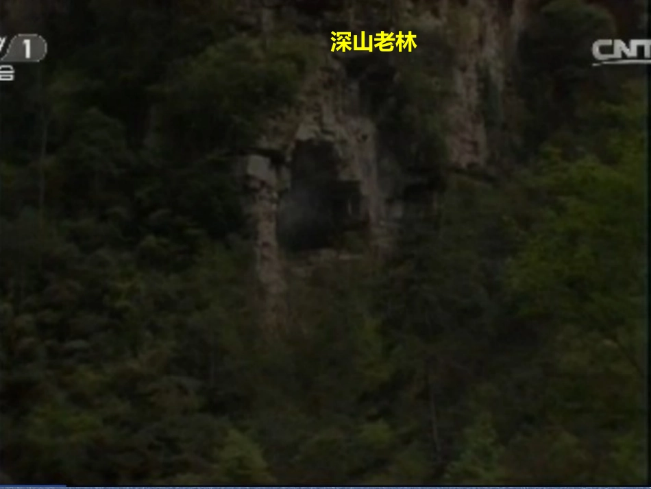 三打白骨精PPT剖析_第3页
