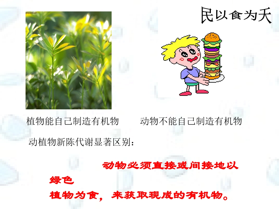 三大营养物质代谢_第2页