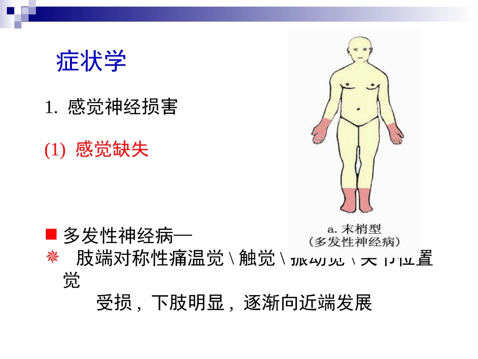 三叉神经ppt_第3页