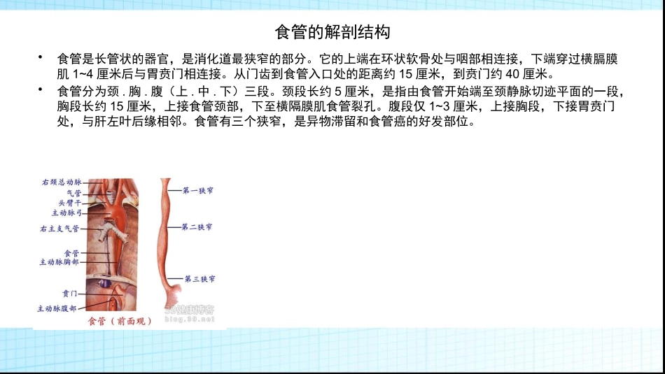 三切口食管癌根治术的配合_第2页