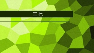 三七药理PPT