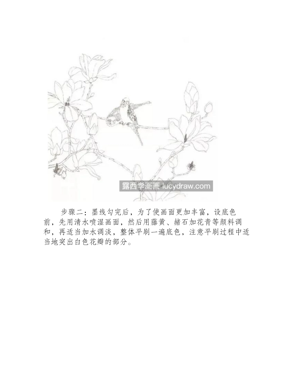玉兰花和绿鸟怎么画_详细的工笔画法是什么_工笔画教程_第2页