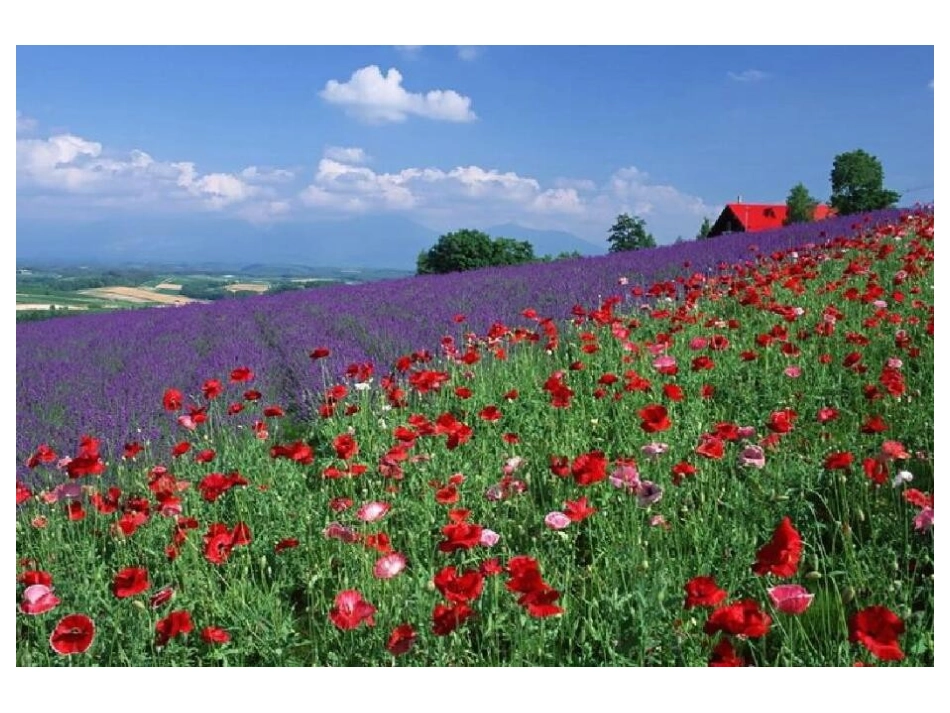 万恶之源--毒品_第2页