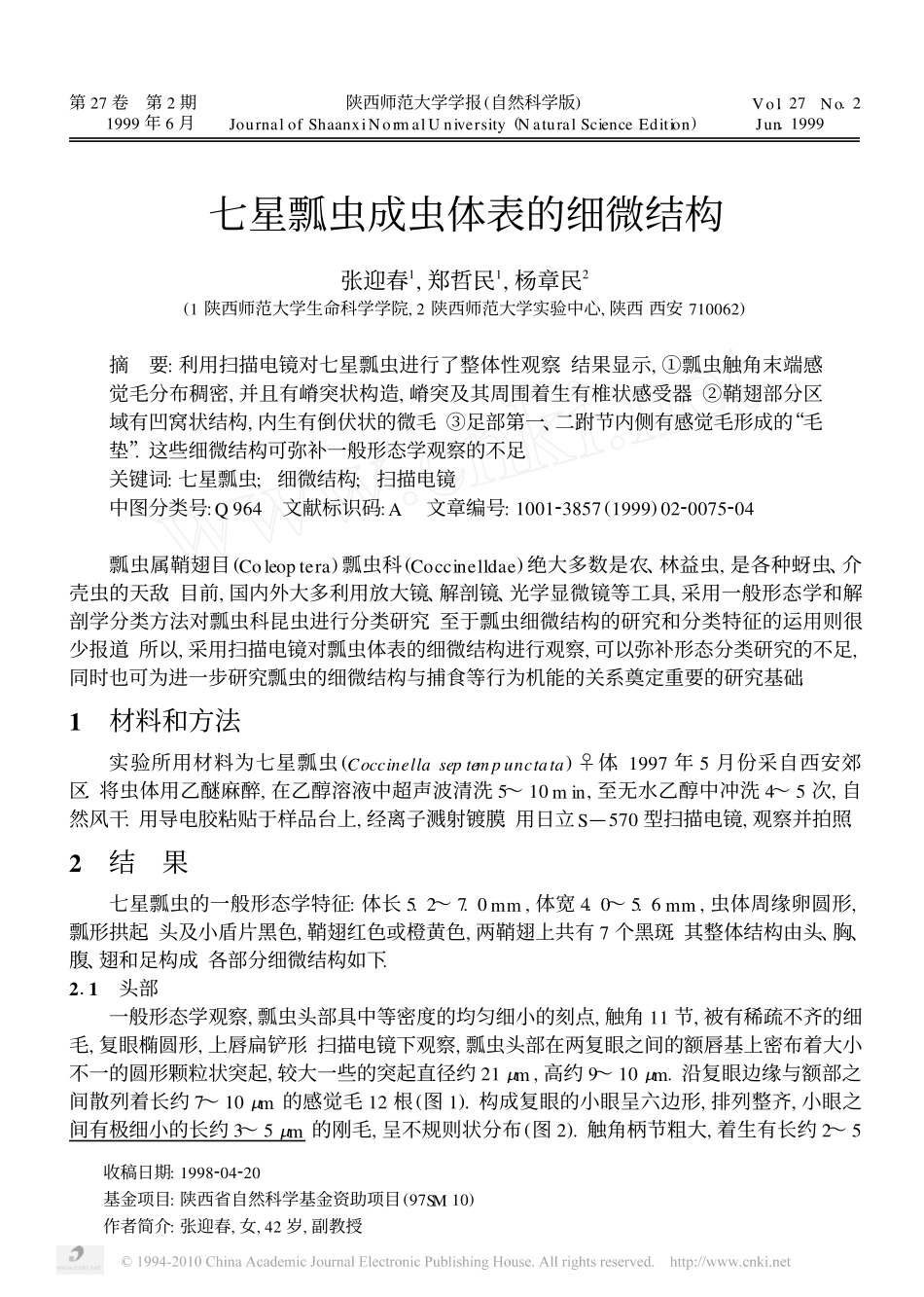 七星瓢虫成虫体表的细微结构_第1页