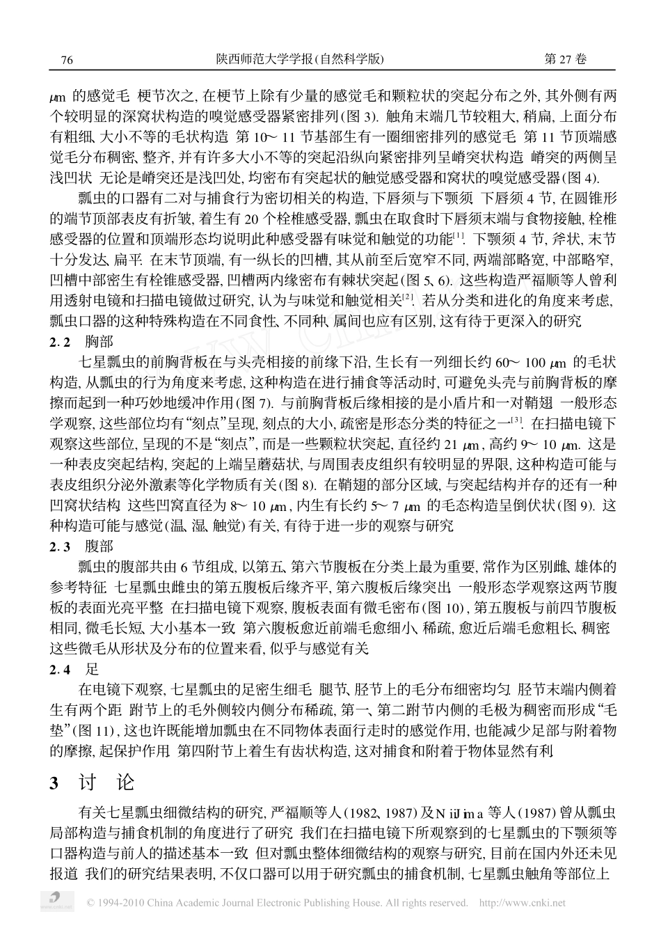七星瓢虫成虫体表的细微结构_第2页