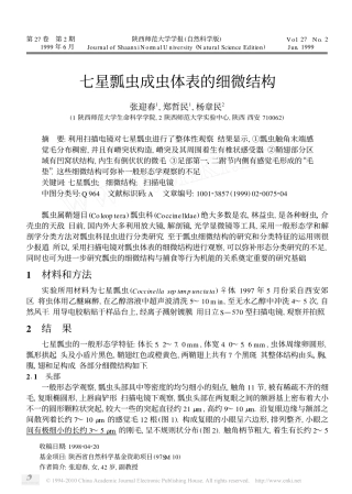 七星瓢虫成虫体表的细微结构