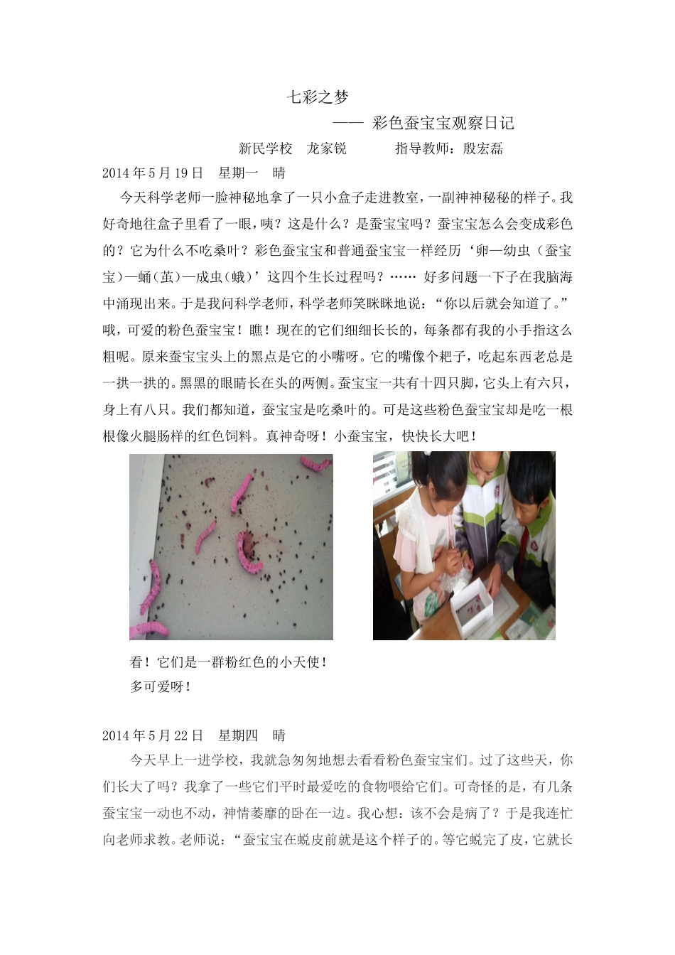 七彩之梦————彩色蚕宝宝观察日记_第1页