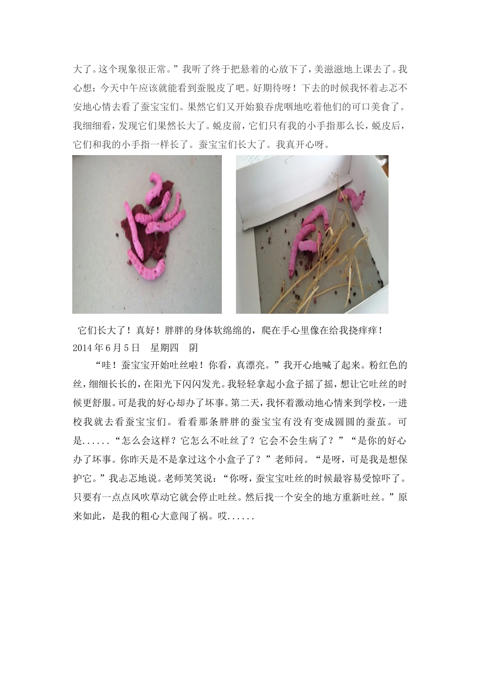 七彩之梦————彩色蚕宝宝观察日记_第2页