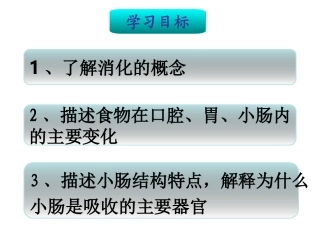 七年级生物消化系统