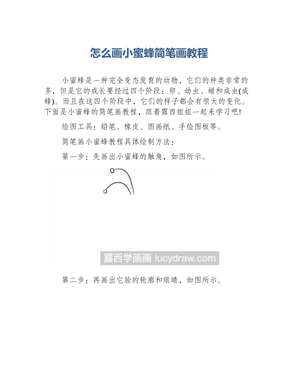 怎么画小蜜蜂简笔画教程_第1页