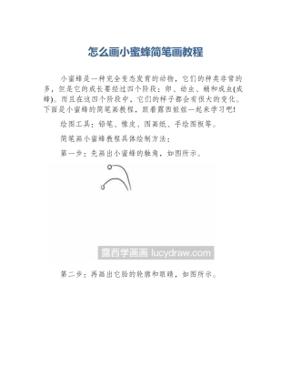 怎么画小蜜蜂简笔画教程