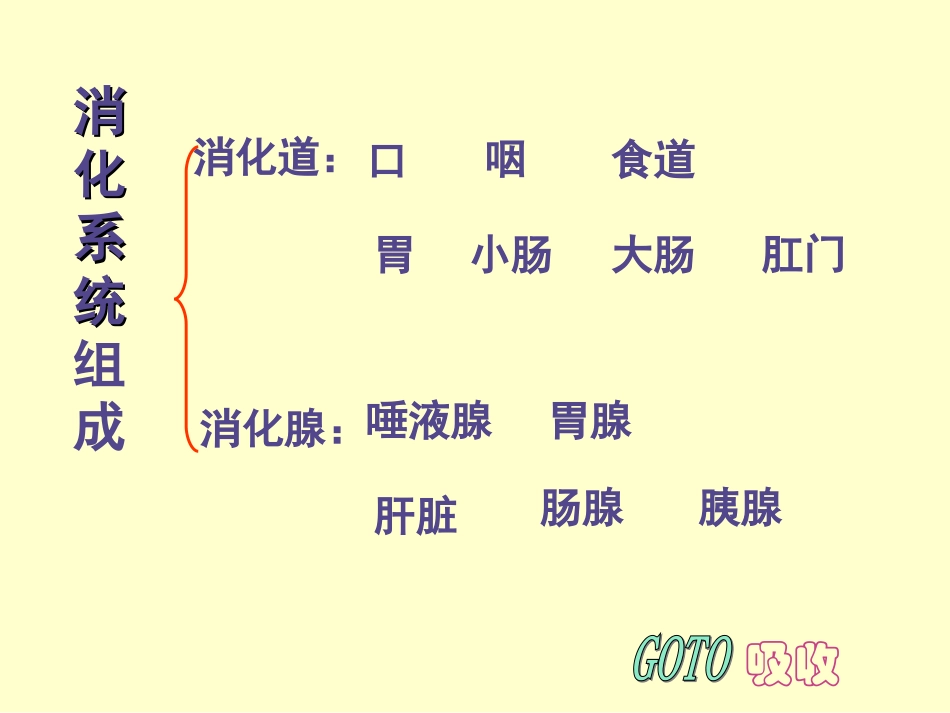 七年级生物消化和吸收5_第2页