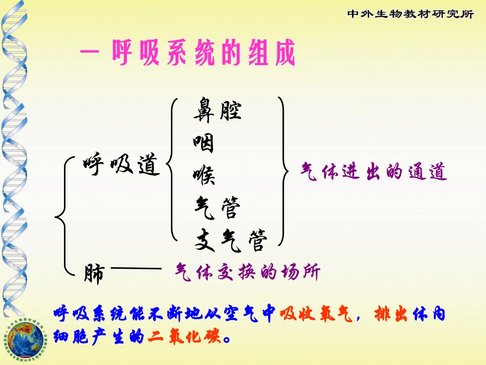 七年级生物气体交换_第3页