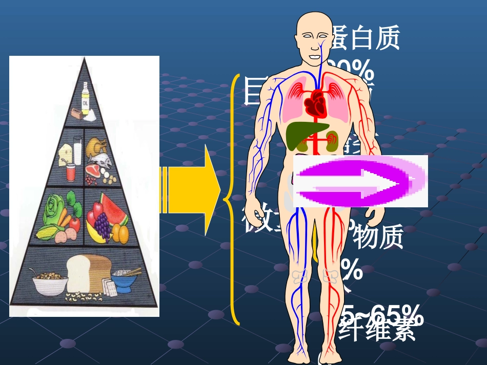 七大营养素-营养_第2页
