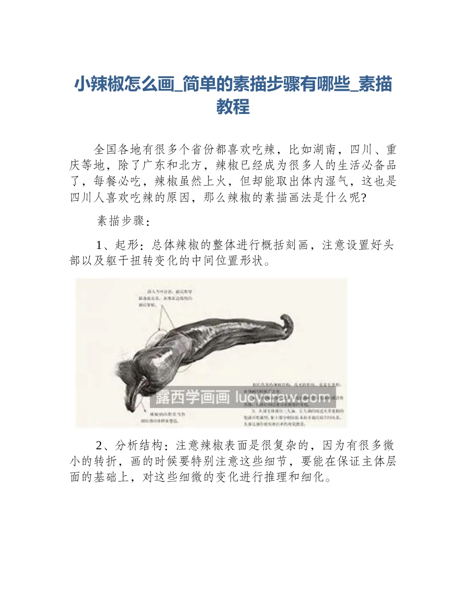 小辣椒怎么画_简单的素描步骤有哪些_素描教程_第1页