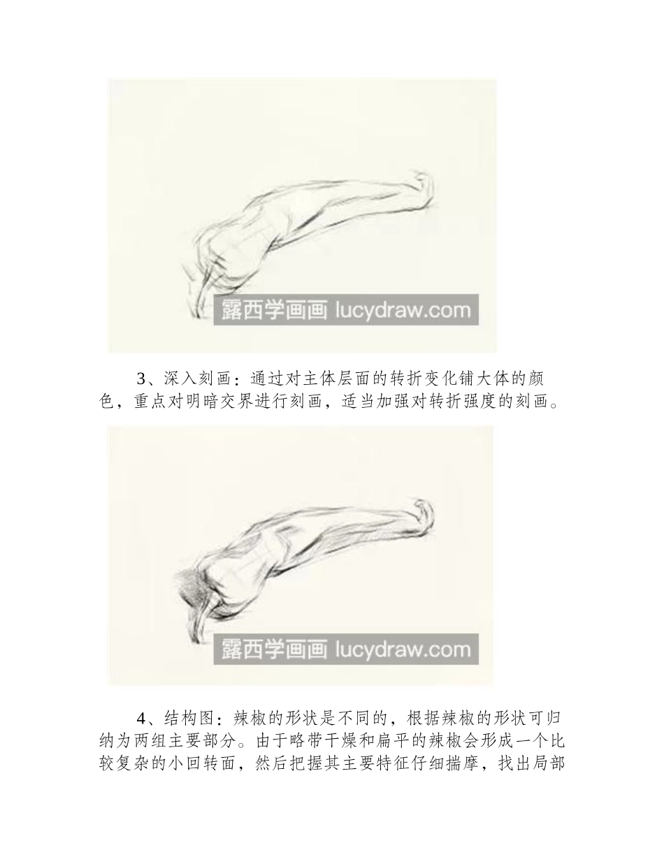 小辣椒怎么画_简单的素描步骤有哪些_素描教程_第2页